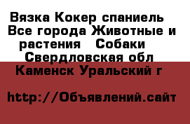 Вязка Кокер спаниель - Все города Животные и растения » Собаки   . Свердловская обл.,Каменск-Уральский г.